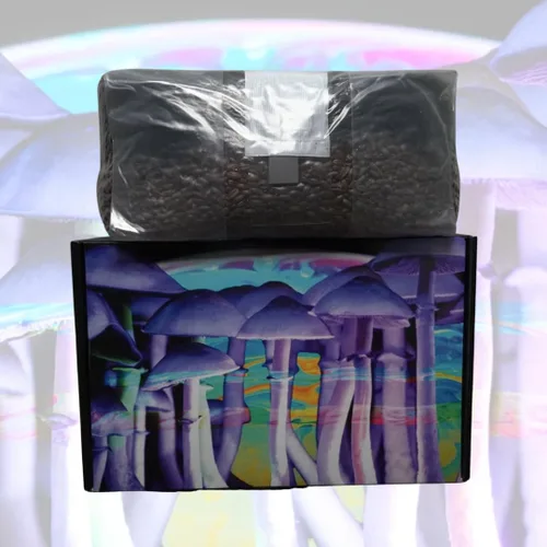 Miniatura 5 de Bolsa de cultivo de hongos todo en uno Jumbo de 6 libras