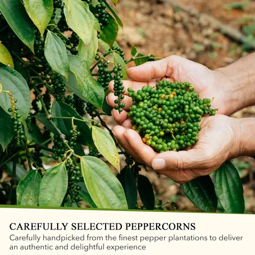 Miniatura 6 de ALPONT GOURMET Whole Black Peppercorns - Whole Peppercorns for Grinder Refill - Ideal for BBQ, Curries, Spice Blend, Meat & Seafood - 2.01oz
