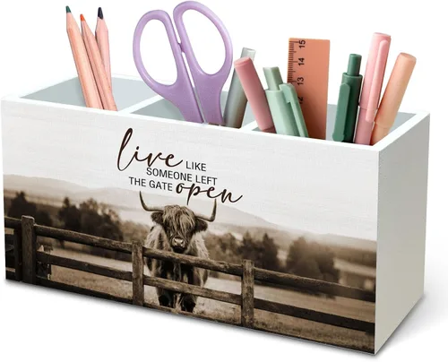 Miniatura 36 de DILSJ Organizador inspirador de 2 compartimentos para lápices, organizador para escritorio, amantes de los pollos regalos para mujeres, Live Like