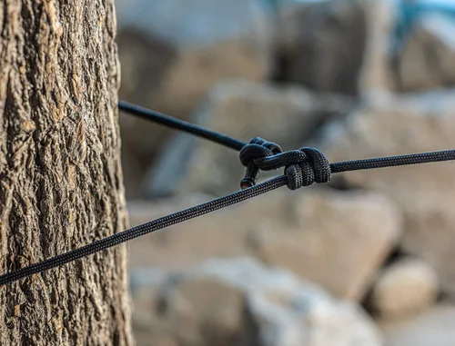 Miniatura 5 de SE Survivor Series 7-Strand 550 Paracord, 100' - PC100BK55