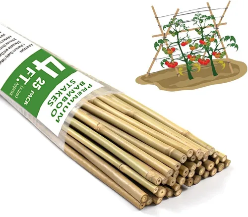 Miniatura 7 de BOVITRO - Estacas para plantas, palitos de bambú natural de jardín de 18 pulgadas, 20 estacas de apoyo para plantas de tomates, frijoles, vegetales