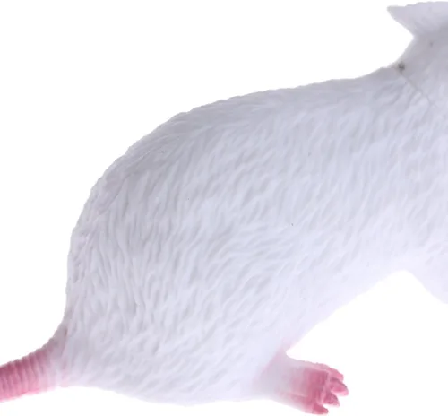 Miniatura 3 de Juguetes de truco de broma, mordaza de goma realista de ratón (blanco)
