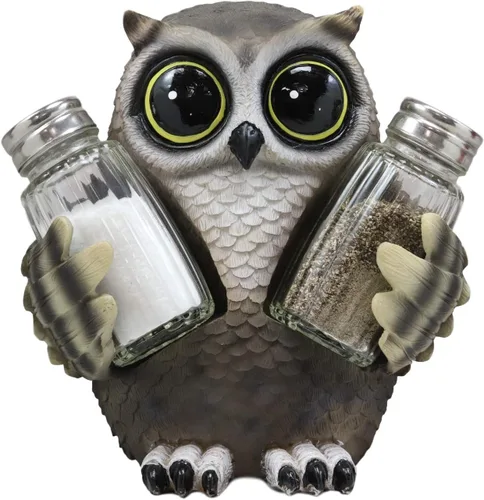 Ebros Gift Whimsical Owlet Baby Owl con grandes ojos redondos de cristal, salero y pimentero, juego de figuras de exhibición de 6 pulgadas de alto,