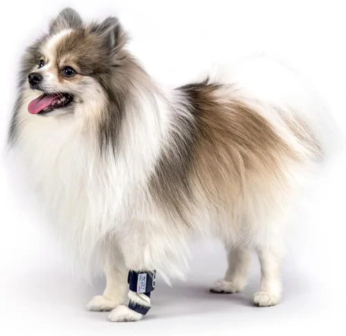 Miniatura 6 de Balto Férula de carpal/tarsal - Soporte para perro hiperextensión con férula de aluminio - Soporta fracturas y esguinces - Soporte de pierna