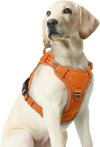 Miniatura 18 de rabbitgoo - Arnés para perros pequeño sin tirones, chaleco táctico de servicio con Molle y asa de control, arnés militar ajustable y reflectante