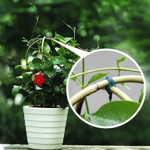 Miniatura 7 de Cambaverd Enrejado de bambú, enrejado en forma de escalera de 16 pulgadas para plantas en maceta, paquete de 3 para plantas trepadoras