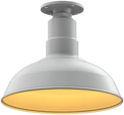 Miniatura 55 de Steel Lighting Co. El Segundo - Lámpara de granero Colgante montado en el techo Domo de 12 pulgadas Vástago de 12 pulgadas Luz de acero