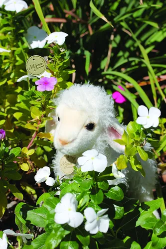 Miniatura 2 de Muñeco de peluche de cordero bebé Aurora World Miyoni, 7 pulgadas Crema