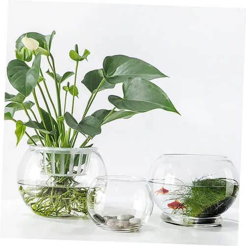 Miniatura 3 de ARTIBETTER Jarrón hidropónico de vidrio transparente, 2 piezas, decorativo para escritorio, para oficina en casa y hotel, para flores eternas