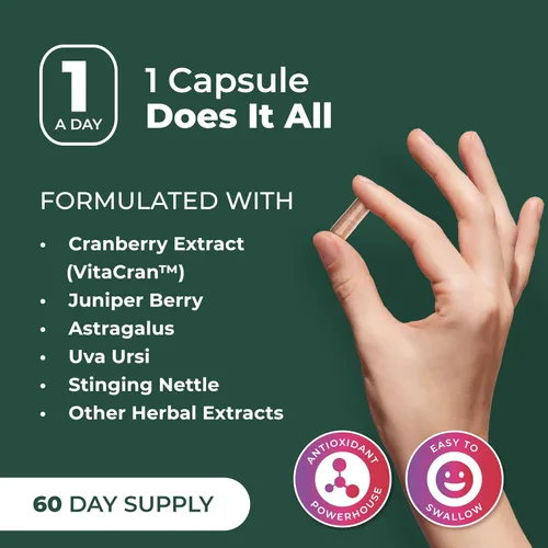 Miniatura 7 de PurePremium Suplemento de apoyo renal con extracto de arándano, limpieza renal, desintoxicación y reparación para hombres y mujeres, apoyo