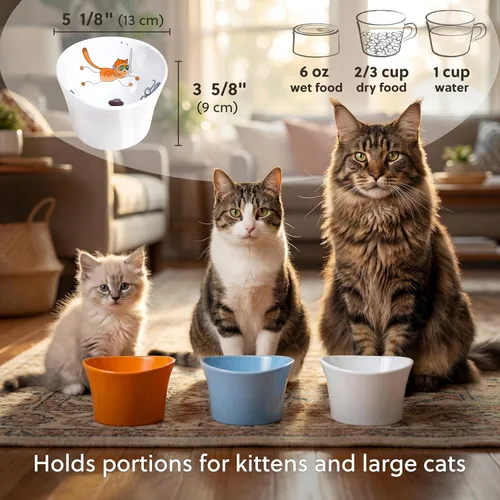 Miniatura 7 de Cuencos elevados para agua para gatos – Cuenco elevado para gatos de interior – Platos para gatos poco profundos con bigotes y cuello – Altura
