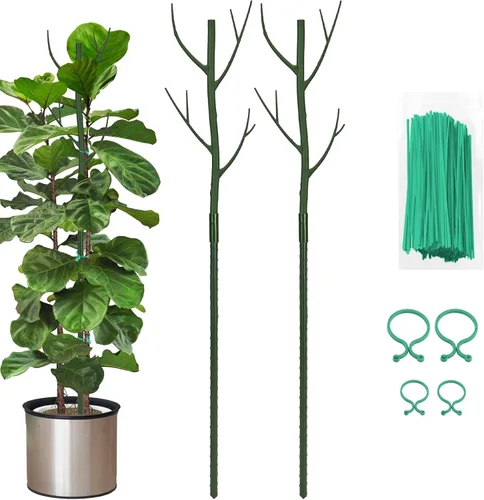 Miniatura 9 de Estacas de soporte para plantas de interior, enrejado para plantas en maceta de casa, flores, palos de soporte Monstera con clips de orquídea, lazos