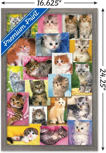 Miniatura 3 de Trends International Keith Kimberlin - Póster de pared de collage de gatitos, 14.725 x 22.375 pulgadas, versión enmarcada de madera de granero