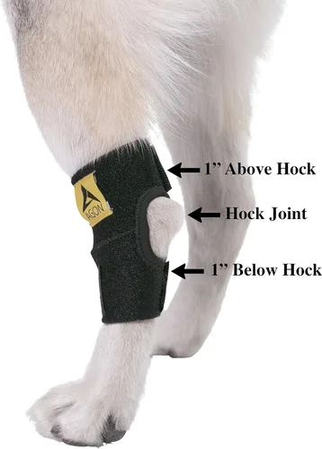 Miniatura 3 de Banda de compresión Agon para patas traseras de perros, con correas, para proteger de heridas, cura, evita lesiones y torceduras, ayuda