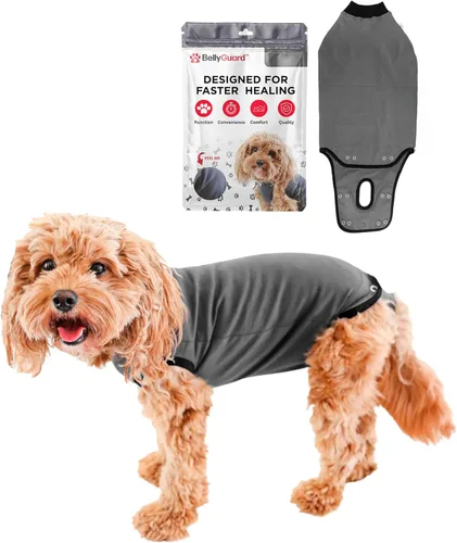 BellyGuard Traje de recuperación de cirugía para perros, mameluco para cuidado posoperatorio, ropa de recuperación para mujeres y hombres, cubierta