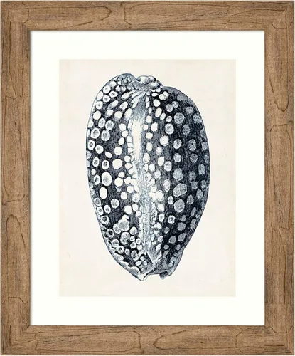 Amanti Art Framed Wall Art Print 24x20 Coastal Collection in Indigo III by Vision Studio, Beach Wall Art, Vintage Decor, Small Poster Painting