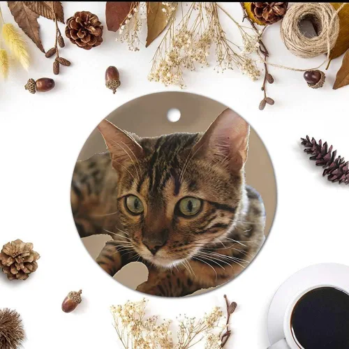 Miniatura 3 de Adorno de Navidad de gato atigrado decorativo colgante adorno de árbol de Navidad, adornos de recuerdo de Navidad, adornos de recuerdo de 3 pulgadas