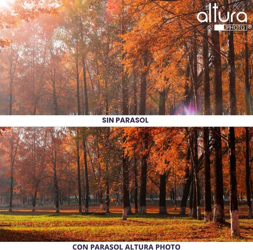 Miniatura 6 de Altura Photo 58 mm Parasol de objetivo de tulipán para cámaras Canon EOS 77D 80D 90D Rebel T8i T7 T7i T6i T6s T6 SL2 SL3 DSLR con lentes Canon EF-S