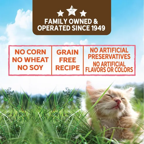 Miniatura 4 de Evolve Estofado de pavo sin granos con verduras en salsa de comida húmeda para gatos 3 oz - 24