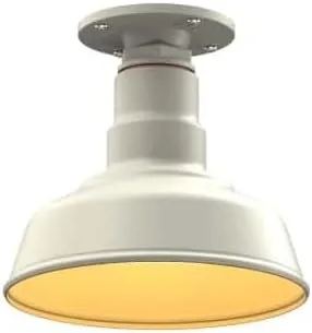 Miniatura 34 de Steel Lighting Co. Inglewood - Lámpara de granero Lámpara montada en el techo Cúpula redonda de 8 pulgadas vástago inclinado de 12 pulgadas