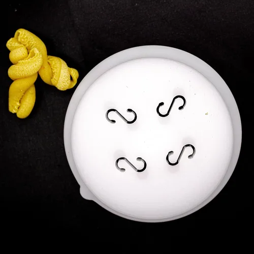 Miniatura 10 de Discos en forma de pasta Casarecce aptos para máquina automática de pasta y fideos Philips, accesorios para hacer pasta, electrodomésticos