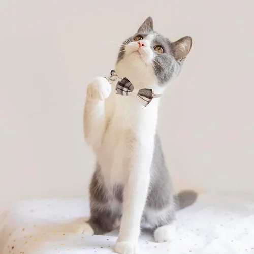 Miniatura 2 de ADOGGYGO Collares de Gato a Cuadros Breakaway con Campana de Lazo, Corbata de Moño Extraíble, Paquete de 2 Collares de Lazo a Cuadros Beige Azul