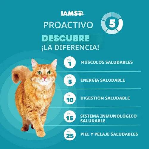 Miniatura 4 de Iams Proactive Health Adult Indoor Weight & Hairball Control Comida seca para gatos