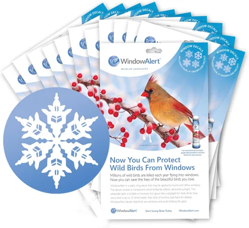 Miniatura 16 de WindowAlert Cobertura Anticolisión de Copo de Nieve - Adhesivo de Ventana UV-Reflectante para Proteger a las Aves Silvestres de Colisiones contra