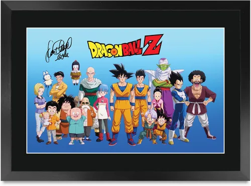 Miniatura 10 de HWC Trading Dragonball Z Sean Schemmel 16 x 12 pulgadas, regalos enmarcados impresos con autógrafo firmado para fanáticos de la televisión, 16 x 12