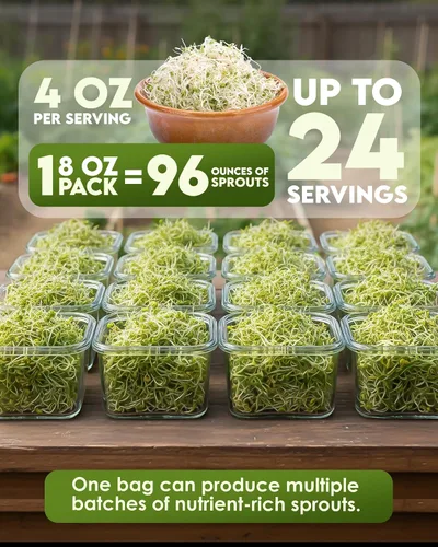 Miniatura 3 de Nature Jims Sprouts Semillas de brócoli orgánicas para germinar, certificadas sin OMG, ricas en sulforafano, semillas microverdes de crecimiento