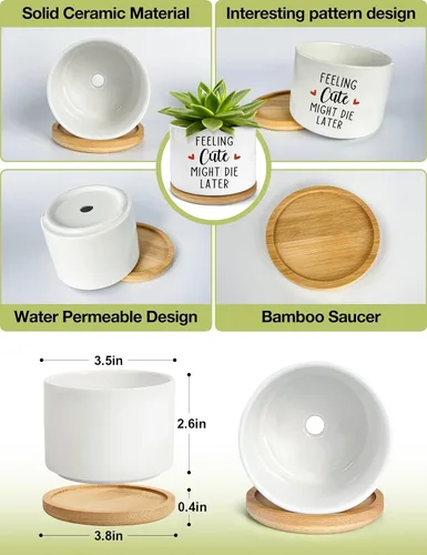Miniatura 4 de Feeling Cute Might Die Later - Maceta de cerámica grabada para suculentas, aloe y cactus, divertidas macetas de interior con bandeja de bambú