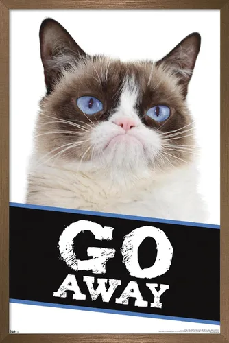 Miniatura 14 de Trends International Grumpy Cat - Póster de pared con texto en inglés «Go Away», 14.725 x 22.375 pulgadas, versión enmarcada de madera de granero