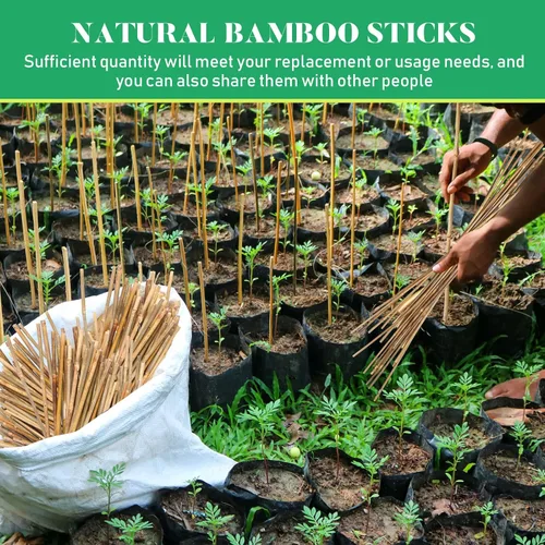 Miniatura 7 de Suclain Juego de 100 estacas de bambú para plantas trepadoras, estacas de bambú resistentes para plantas trepadoras, tomates, frijoles, flores