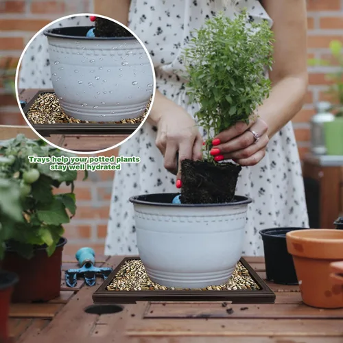 Miniatura 4 de 2 macetas de bonsái para goteo de humedad, bandeja cuadrada de drenaje para árboles bonsái de cactus, accesorios (negro)