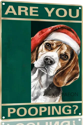 Letrero de metal con texto en inglés "Beagle" Are You Pooping de 12 x 8 pulgadas, letrero de Navidad vintage, con sombrero de Papá Noel, divertido