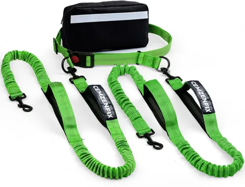 Miniatura 14 de Correa de perro manos libres con cinturón – Bungee sin tirones, asas acolchadas dobles y bolsa con cremallera para correr, caminar y entrenar