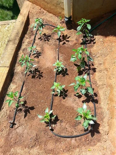 Miniatura 4 de Rocky Mountain Goods – Manguera de agua plana para riego de plantas y flores – diseño de doble capa resistente – ahorra un 70 % de agua – goteo