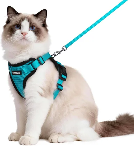 Miniatura 27 de rabbitgoo Juego de arnés y correa para gatos, arnés a prueba de escapes para paseos seguros al aire libre, chaleco suave transpirable ajustable