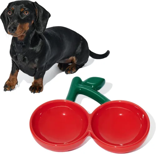 Miniatura 7 de VETRESKA Cuenco de cerámica para mascotas, diseño inclinado, comedero para mascotas para alimentos y agua, cuencos antivómitos para gatos