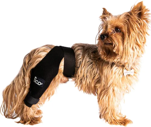 Rodillera para perro para soporte de pierna trasera, pierna derecha, soporte CCL ACL para perros, aprobado por veterinarios, soporte ortopédico