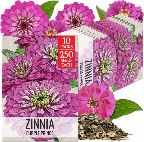 Miniatura 51 de Seed Needs California Giants - Semillas de zinnia – 250 semillas tradicionales para plantar Zinnia elegans – Cultiva flores anuales polinizadas