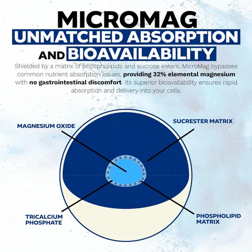 Miniatura 5 de Nootropics Depot MicroMag - Cápsulas de magnesio 625 mg 90 unidades Contiene 200 mg de magnesio elemental