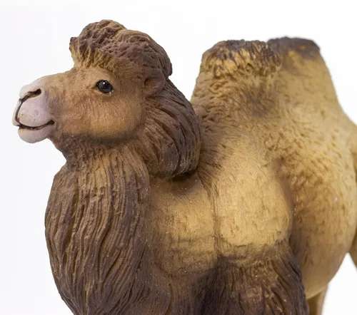 Miniatura 4 de Safari Ltd. Figura de camello bactriano, figura realista de vida silvestre de 4.25 pulgadas, juguete educativo para niños, niñas y niños a partir