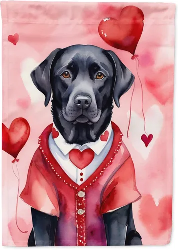 Miniatura 41 de Caroline's Treasures DAC5292CHF - Bandera de Border Collie My Valentine House para porche, grande, con manga para porche, para colgar en la pared