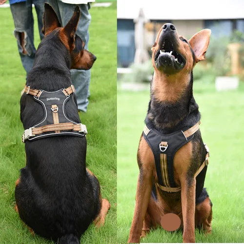 Miniatura 8 de Arnés negro para perro sin tirones con 2 clips para correa, acolchado suave ajustable, chaleco reflectante Oxford sin estrangulamiento para mascotas