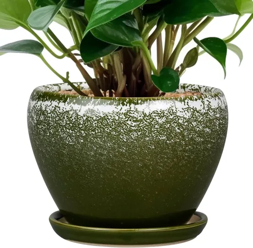 Miniatura 67 de Maceta de Cerámica Moderna con Esmalte para Suculentas con Agujero de Drenaje y Platillo, Maceta Redonda de 6 Pulgadas para Plantas de Flores