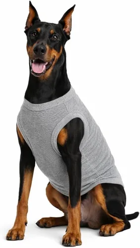Miniatura 35 de Lovelonglong Ropa para mascotas de verano 2019, ropa para perro, camisetas en blanco, camisetas acanaladas, chalecos de hilo superior para perros