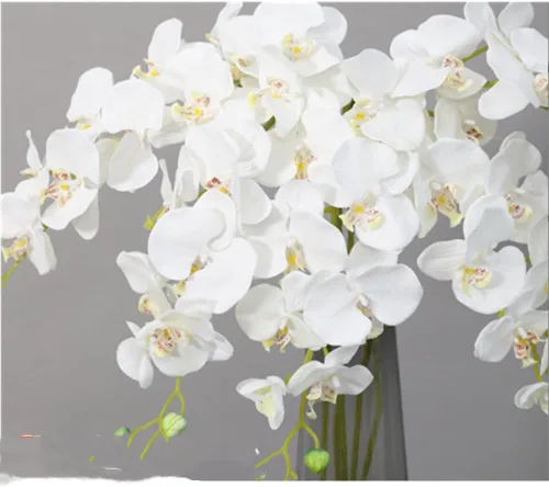 Miniatura 2 de OUKEYI Flores artificiales blancas de Phalaenopsis, tallos de orquídea, flores artificiales de látex de tacto real, ramas de falaenopsis sintética