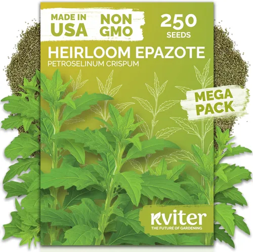 Miniatura 9 de KVITER 1000 semillas de quinua de cordero (Chenopodium Album) - Hierbas comestibles autóctonas, ideales para jardines de hierbas orgánicas
