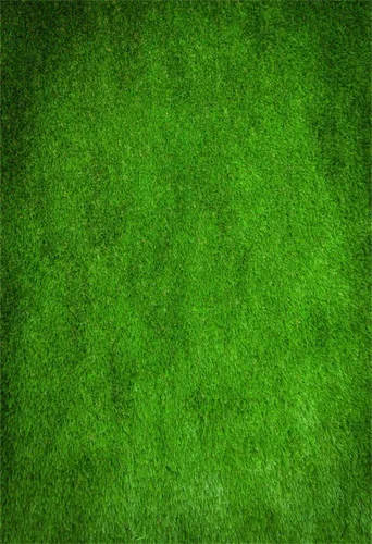 Laeacco Telón de fondo verde retro de 5 x 7 pies, fondo verde grunge, césped verde, campo de fútbol artificial, telón de fondo para fotos de